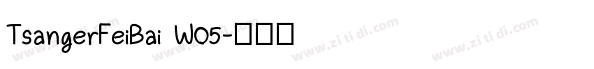 TsangerFeiBai W05字体转换